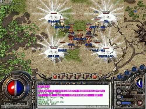 传奇私服设置药 新手必看实操技巧与发育适配方法